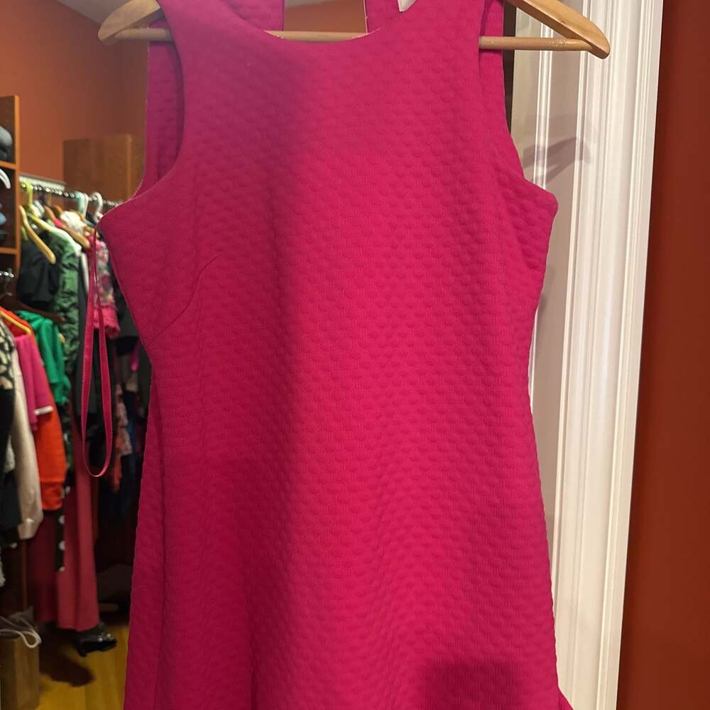 Eliza J Pink Mini Dress Womens 6 Sleeveless Ruffle Barbiecore Textured